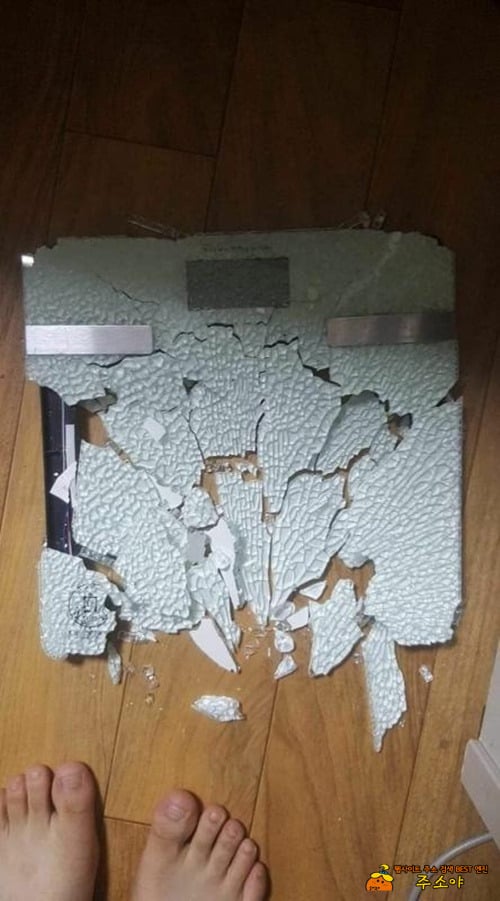 죽더라도 바른말하는..