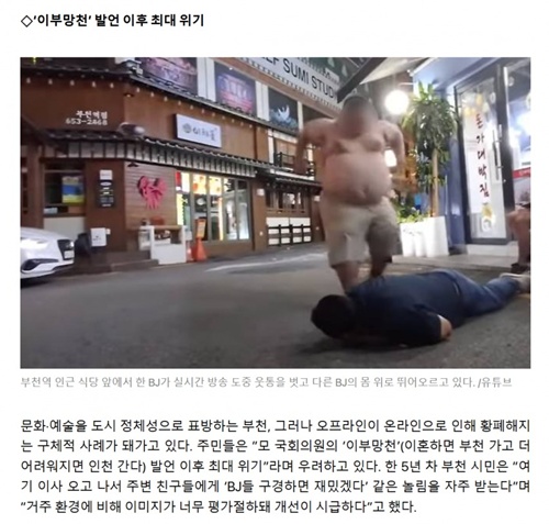 스트리머 개싫다
