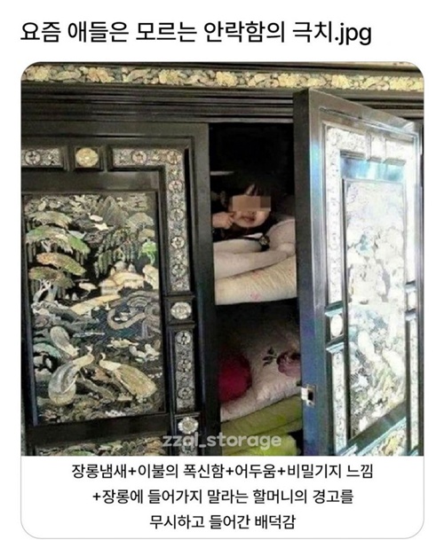 안락함의 극치