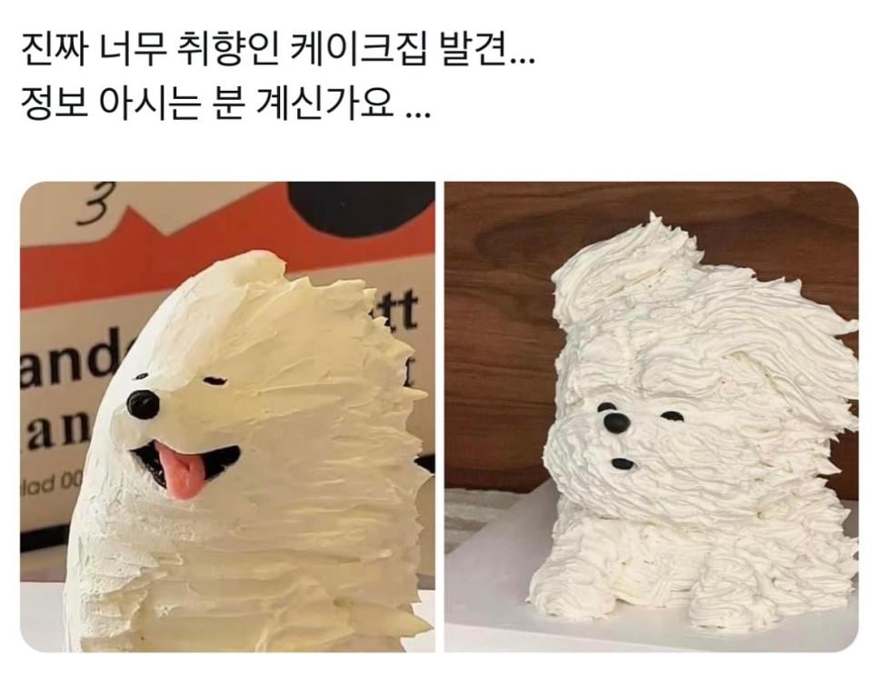 진짜 너무 취향인 케이크집 발견