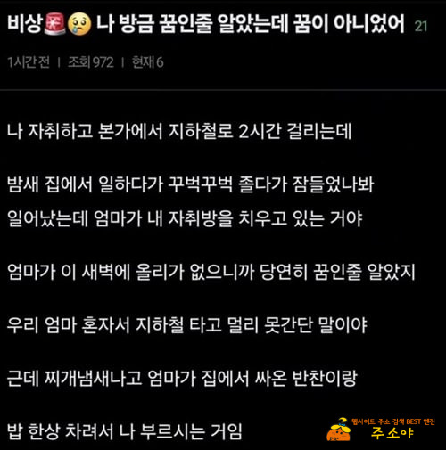 꿈이 아니었어