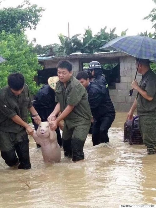 홍수에서 구조되어 미소가 절로