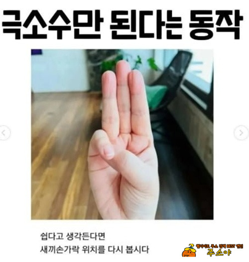 난 안됨