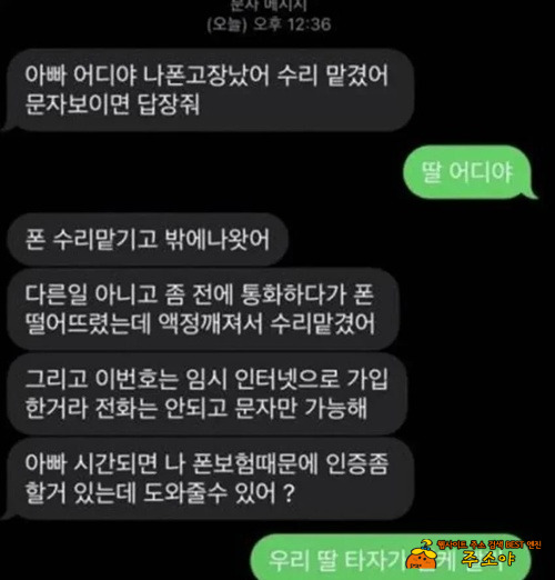 진도가 너무 빠른 딸