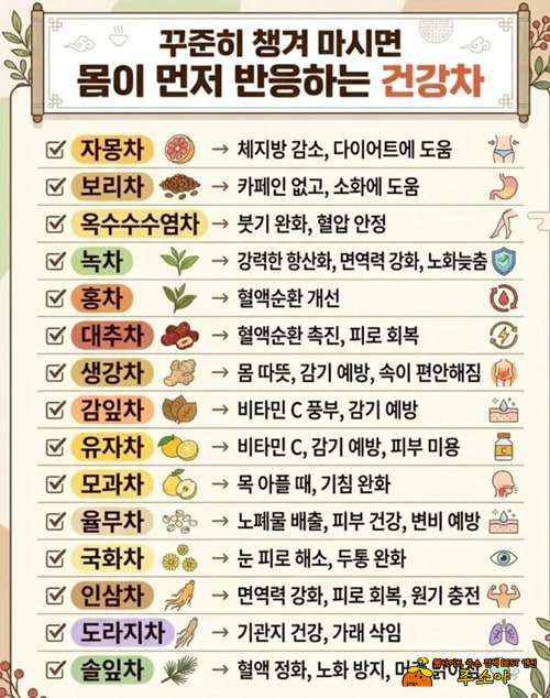 건강차 모음