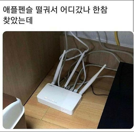 애플펜슬 떨궈서 어디갔나 한참 찾았는데.jpg