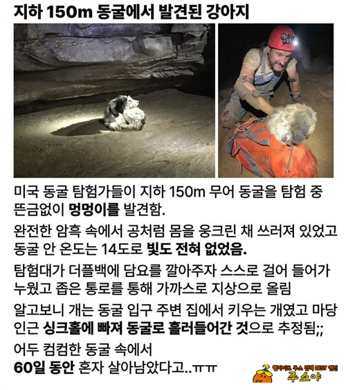 60일을 어떻게 버텼지?