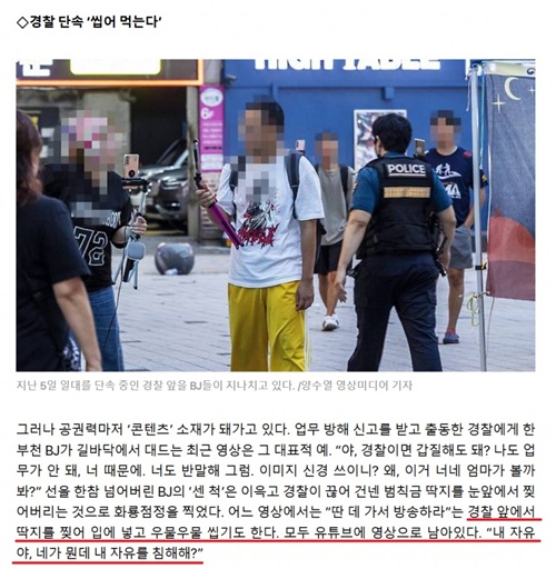 스트리머 개싫다