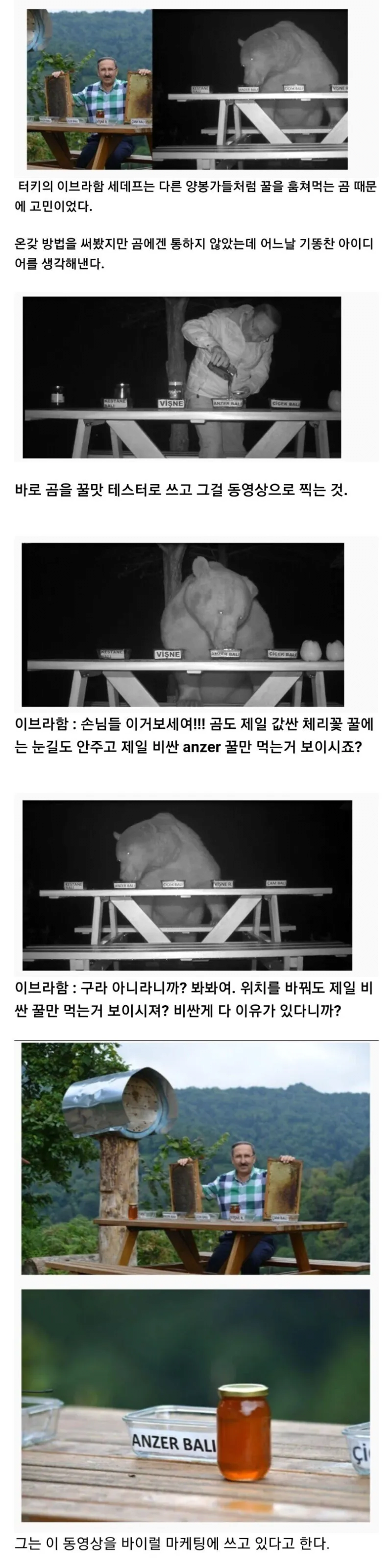 의도치 않게 은혜 갚은 곰