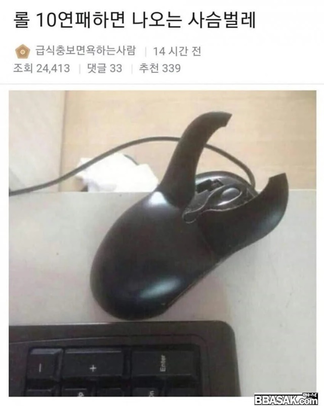 사슴벌레...미친