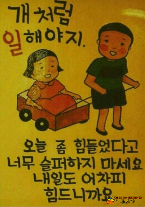 그래도 오늘은 쉽시당