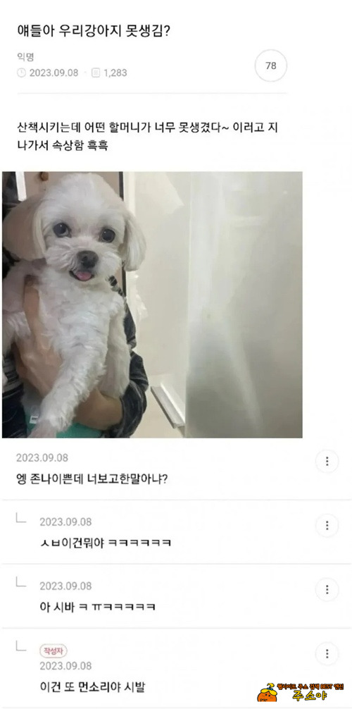 우리 강아지 못생겼나요?