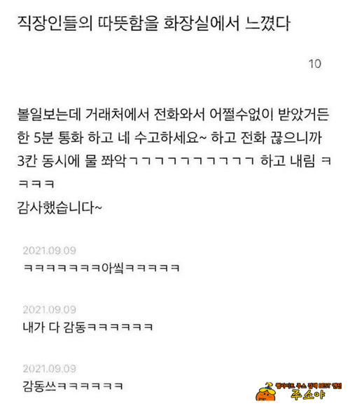 세분 완전 센스만점