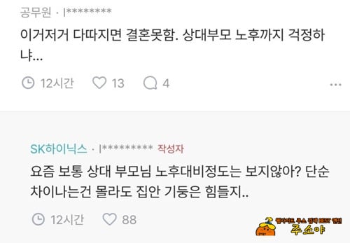 결혼을 망설이는 하이닉스녀 결혼을 망설이는 하이닉스녀