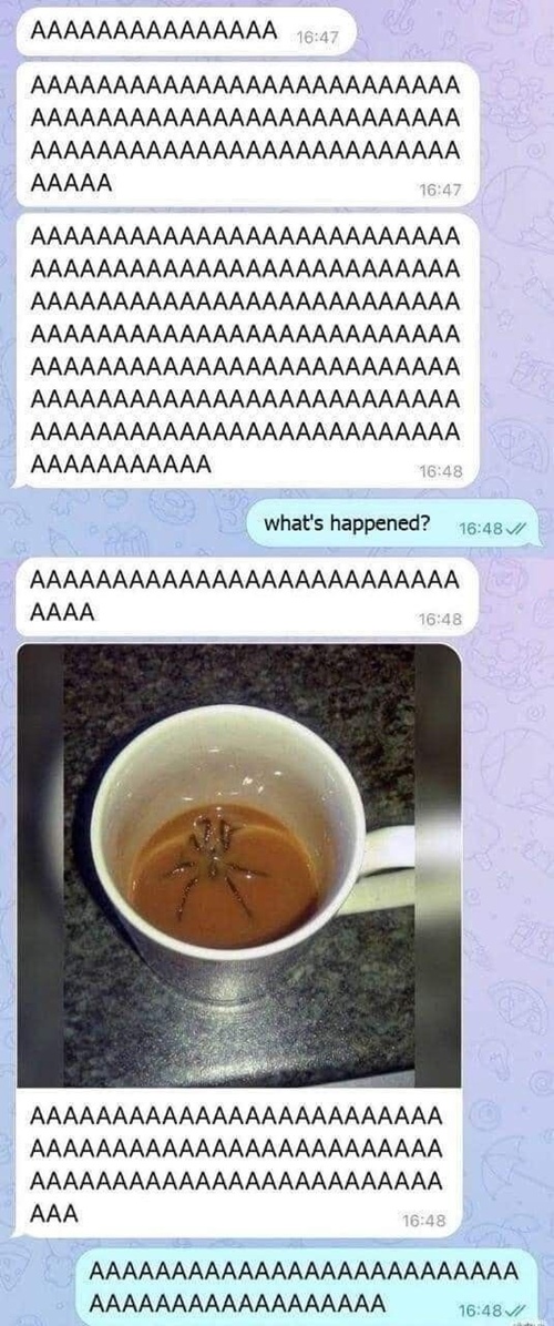 AAAAAAAAAAAA ㅋㅋㅋㅋㅋ