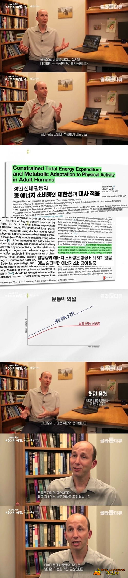 식단이 더 중요하기 때문