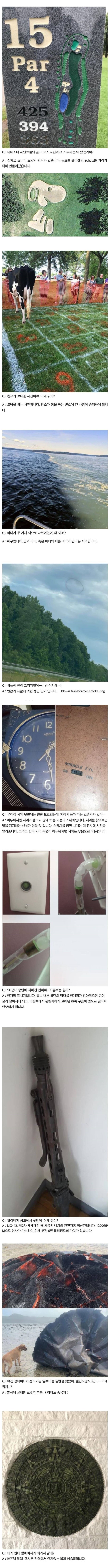 무었이든 물어보세요 질문 답변해주는 레딧