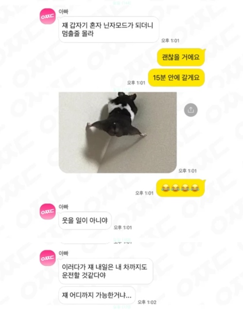 내일은 차도 운전하겠네 ㅎ