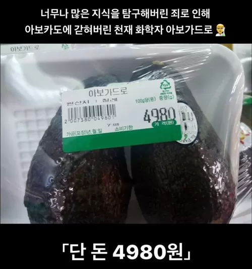 천재의 비극