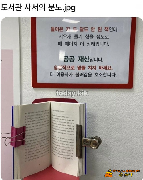 분노한 사서