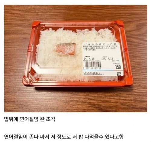 먹어보면아는 연어도시락