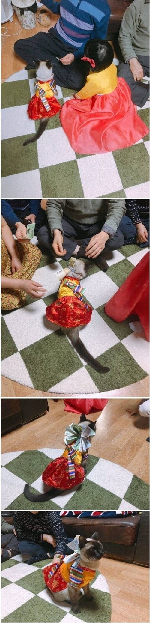 이거면 츄르가 몇 개야?