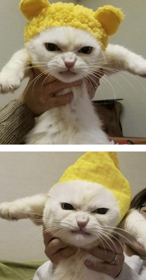 옷 사줬는데 빡친 동거녀