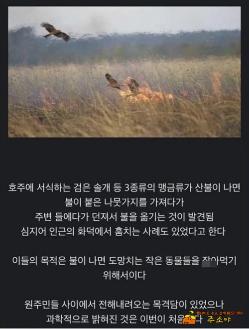 씹~새들!!!