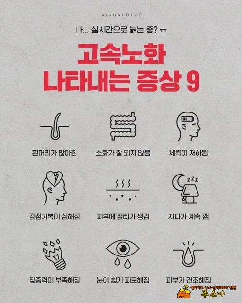 전부 다 맞는거 같으데??