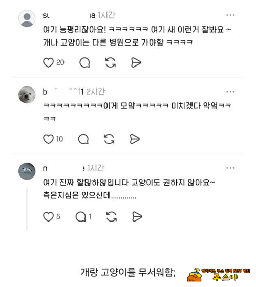 특수동물 젘문인가보네 특수동물 젘문인가보네
