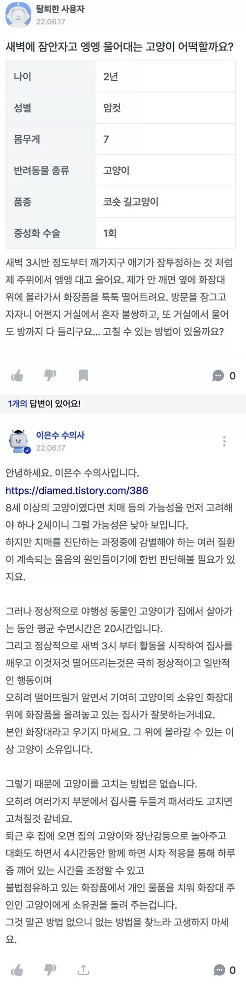 새벽에 우는 고양이 고민 질문에 수의사의 답변