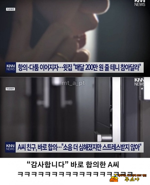 이게 진짜였군 이게 진짜였군