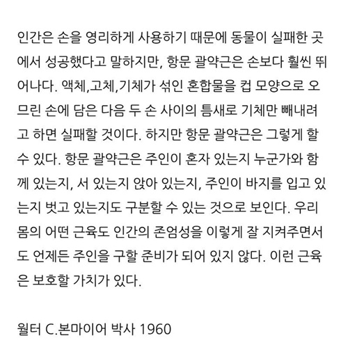 ㅎㅎㅎ 그러네요
