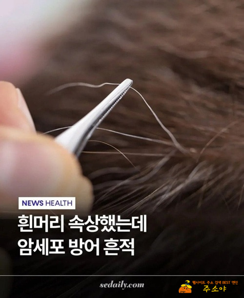 헉..좋은거였네..