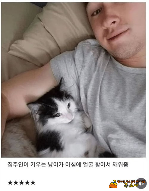 5점줄만 하네