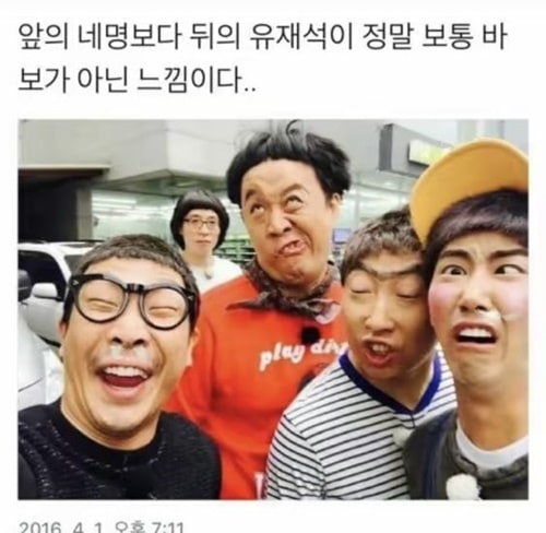 정말 보통 바보가 아닌 느낌