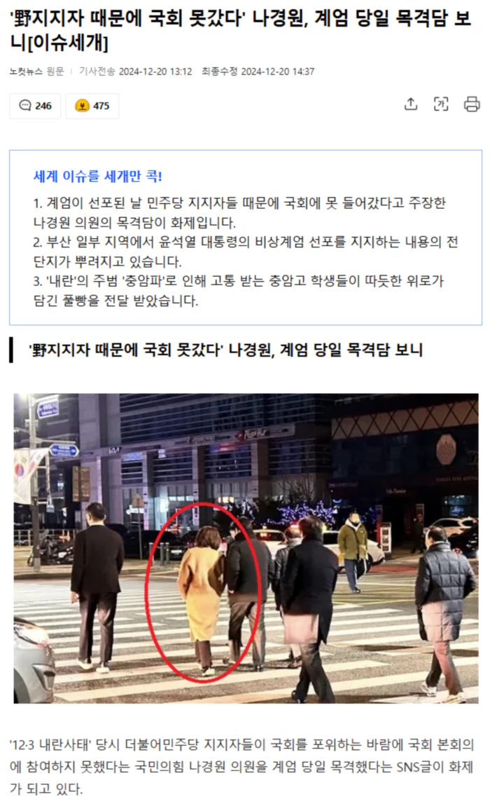 '野지지자 때문에 국회 못갔다' 나경원, 계엄 당일 목격담 보니